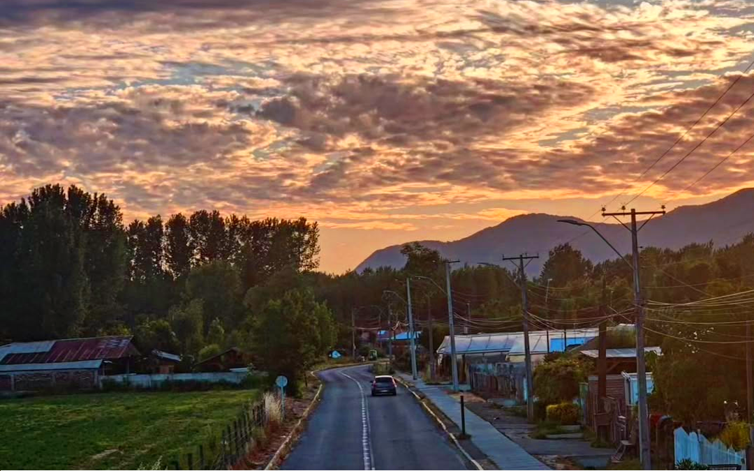 Servicios Comerciales