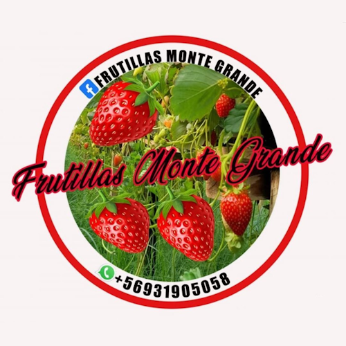 Frutillas Monte Grande